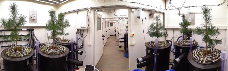 panoramakuva juuristolaboratoriosta