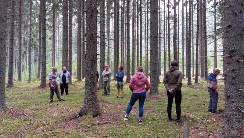 Punkaharjun tutkimuspuisto, ihmisiä metsässä