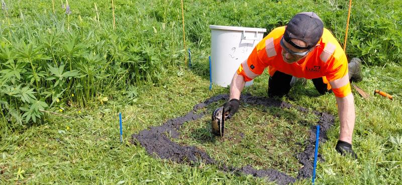 lupiinien torjunnassa tutkittavan aineen levitys