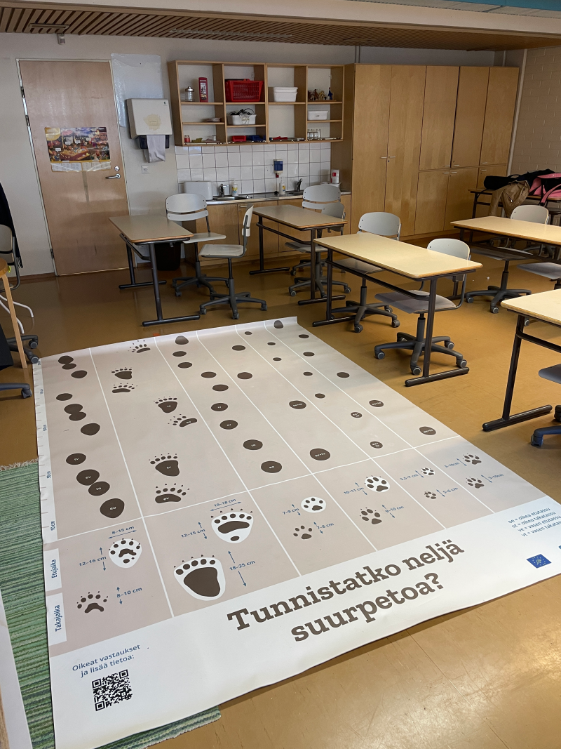 Luokkahuoneessa matto, jossa on suurpetojen tassunjälkiä.