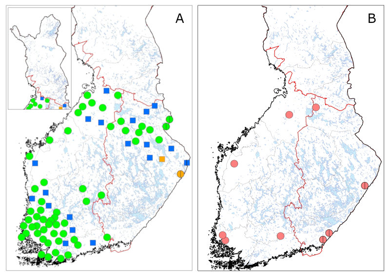 Susireviirit painottuvat lounaiseen Suomeen v 2025
