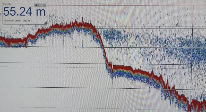 Kaikuluotaus näyttää, että silakoita on meressä runsaasti.