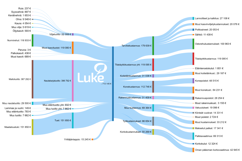 vuokaaviokuva, jossa kerrotaan mistä hyvin menestyvien tilojen tuotot ja kustannukset syntuvät