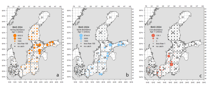 Silakka ja kilohaili olivat runsaimpia Itämeren pääaltaan pohjoisosassa ja Suomelahdella, runsaimmat turskahavainnot tehtiin Gotlannin ympäristössä.