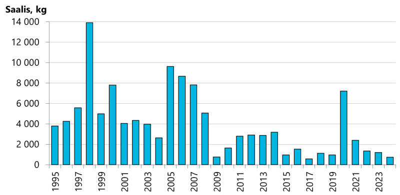 Lohisaalis on ollut viimeisinä vuosina keskimäärin 1400 kiloa lukuunottamatta vuotta 2020, jolloin saalis oli 7200 kiloa. Vuoden 2024 saalis oli verrattain pieni, 740 kg.