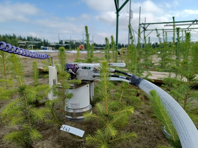 Maaperästä vapautuvaa hiilidioksidia mitataan maahengityskammiolla. 