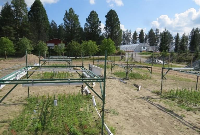 Stressitestikenttä koostuu neljästä lohkosta, joiden kunkin sisällä on mahdollista toteuttaa kuusi erilaista lämpötila- ja kastelukäsittelyä. Versoja lämmittävät infrapunalämmittimet on kiinnitetty metallikehikoihin ja juuristoa lämmittävät kaapelit on haudattu maahan.