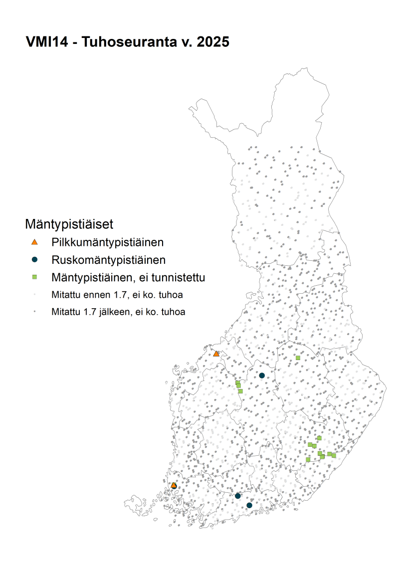 Ruskomäntypistiäisesiintymät sijoittuivat  Etelä-Savoon ja Pohjanmaan suunnalle vuonna 2025