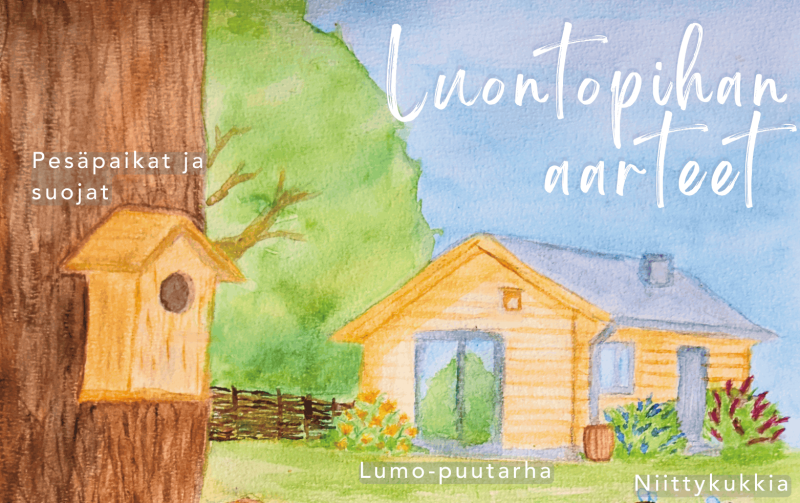 Luontopihan aarteet.