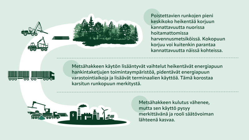 Infografiikka metsähakkeen tuotantoketjusta: metsässä tehtävä harvennus ja puunkorjuu, puutavaran kuljetus kuorma-autolla sekä energialaitos. Tekstissä kerrotaan, että poistettavien runkojen pieni keskikoko heikentää kannattavuutta, mutta kokopuun korjuu voi parantaa sitä. Metsähakkeen käytön vaihtelut vaikeuttavat hankintaa ja lisäävät varastointia, ja vaikka kulutus vähenee, sen merkitys energian tuotannossa säilyy.
