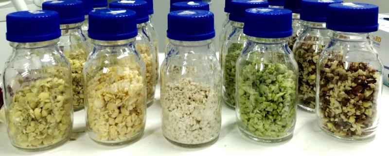 Crushed lentils, chickpeas, oats, peas and faba beans in small containers.