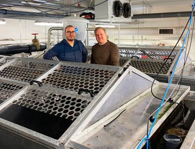 Kaksi henkilöä kalankasvattamolla altaiden äärellä.