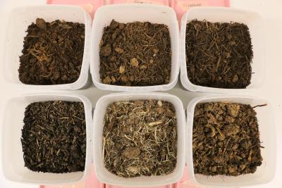 Erilaisia kasvualustoja pelargonin kasvatukseen.