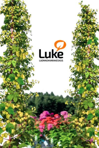 Humalaportti, keskellä kukkia