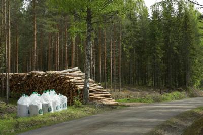 Tukkipino ja lannoitussäkkejä metsässä.