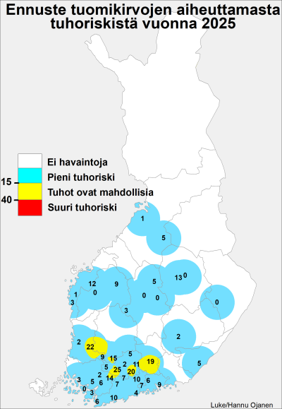 Ennuste tuomikirvojen aiheuttamasta tuhoriskistä Suomessa vuonna 2025 karttakuvana. Tuhot ovat mahdollisia Etelä-Suomen sisämaassa. Muualla riski on pieni.