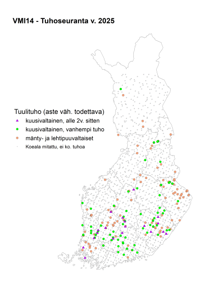 Tuulituhoja esiintyi vähiten Lapissa, vuosi 2025 VMI seuranta