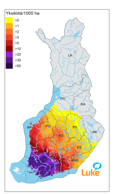 Valkohäntäpeurakanta on tiheimmillään Läntisellä Uudellamaalla ja Varsinais-Suomessa (40–46 yksilöä/1000 ha). 