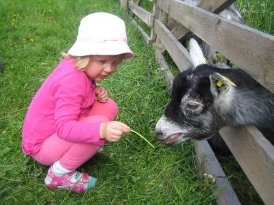 Elonkierrossa on 25.7.2015 klo 12−15 eläimellistä menoa. Kuva: Paula Häyrinen