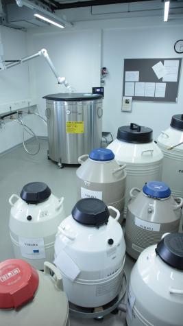 Laboratorion huone, jossa on isoja kannellisia ja kahvallisia, metallisia tankkeja