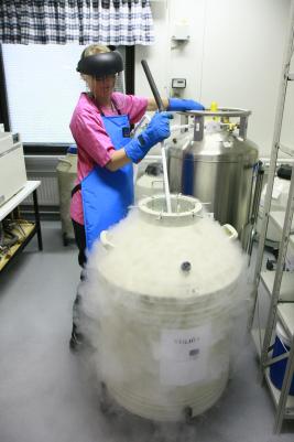 Iso tankki, jossa nestetyppeä. Henkilö suojavarusteissa vie näytteitä avonaiseen tankkiin, josta valuu huurua.