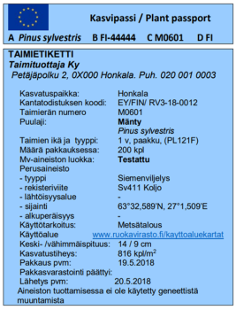 Taimilaatikon etiketti, jossa tietoja taimesta, kuten kasvatuspaikka ja puulaji.
