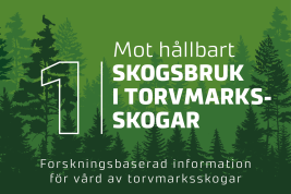 Inslag från nyhetsserien Hållbart skogsbruk i Finland, del 1. 