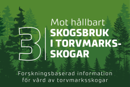 Inslag från nyhetsserien Hållbart skogsbruk i Finland, del 3. 