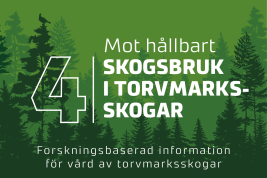 Inslag från nyhetsserien Hållbart skogsbruk i Finland, del 4. 
