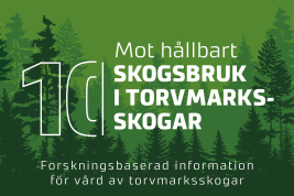 Inslag från nyhetsserien Hållbart skogsbruk i Finland, del 10. 