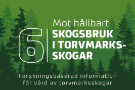 Inslag från nyhetsserien Hållbart skogsbruk i Finland, del 6. 