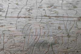 Kuusentähtikirjaaja