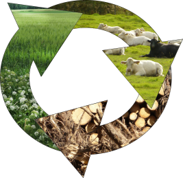 Kiertoa Suomesta -logo