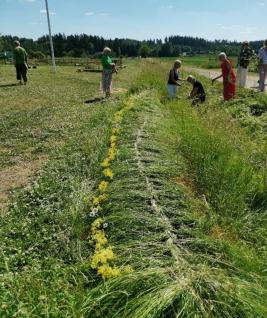 People standing in a meadow.