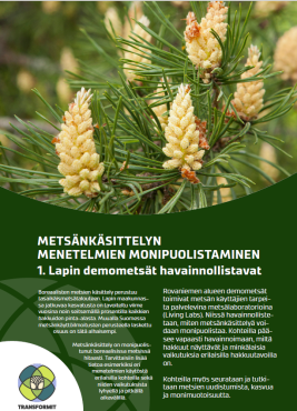 Esitteen kansikuva kuvituskuvaksi