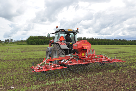 Alus- eli kerääjäkasvit voidaan kylvää pääkasvin kylvön yhteydessä tai vasta sen orastuttua, kuten tässä kuvassa. Näin annetaan pääkasville etumatkaa, jolloin läpikasvun riski on pienempi. Toisaalta alkukesän kuivuus voi myös hidastuttaa liikaa aluskasvin taimettumista