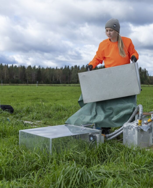 Pellon hiilen sidontaa eli hiilidioksidin nettovaihtoa voidaan tutkia valoisilla kammioilla, jolloin hyödynnetään läpinäkyviä kammioita ja eri valotasoja, jotta saadaan tietoa myös kasvien fotosynteesin ja näin ollen hiilensidonnan tehokkuudesta