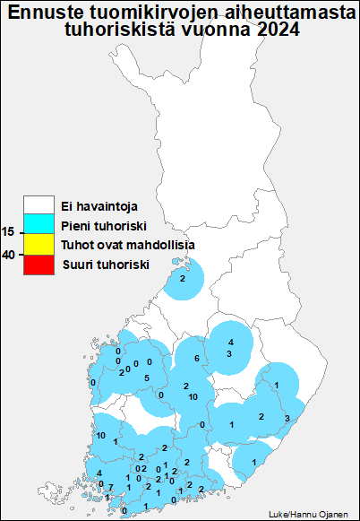 Tuomikirvojen talvimunalaskentaan perustuva tuomikirvaennuste vuodelle 2024 on valmistunut. Ennusteen mukaan kotimainen tuomikirvakanta on pieni ja siitä ei ole uhkaa ensi kesänä. 