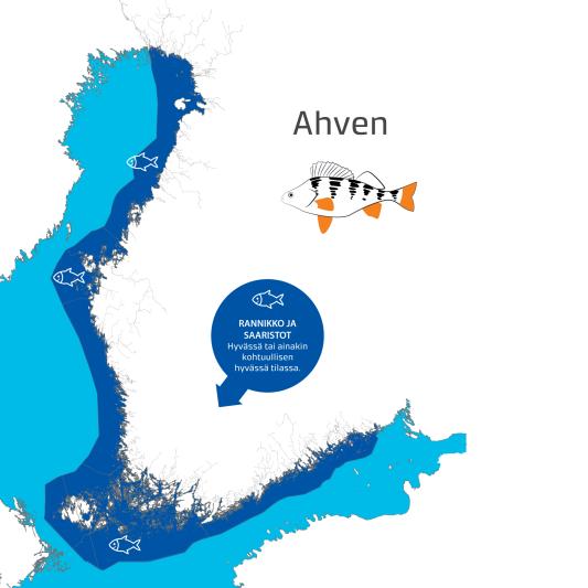 Rannikon ja saariston ahvenkanta on hyvässä tai kohtuullisen hyvässä tilassa, vuosi 2023