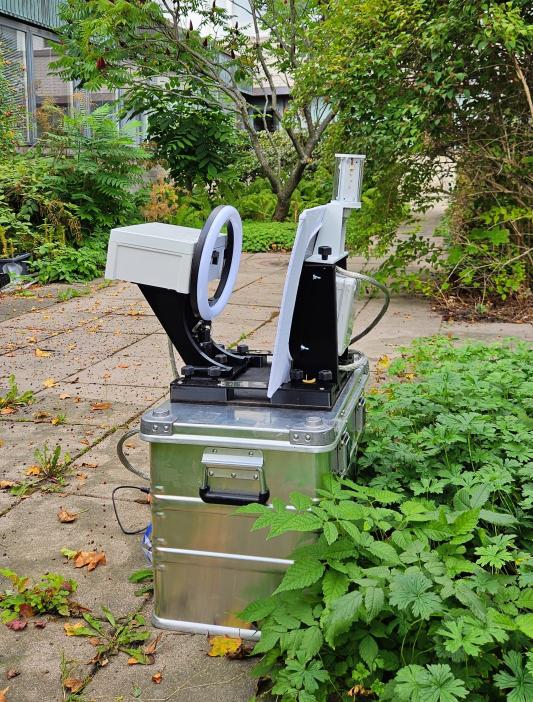 Hyönteisansa pihakiveyksellä