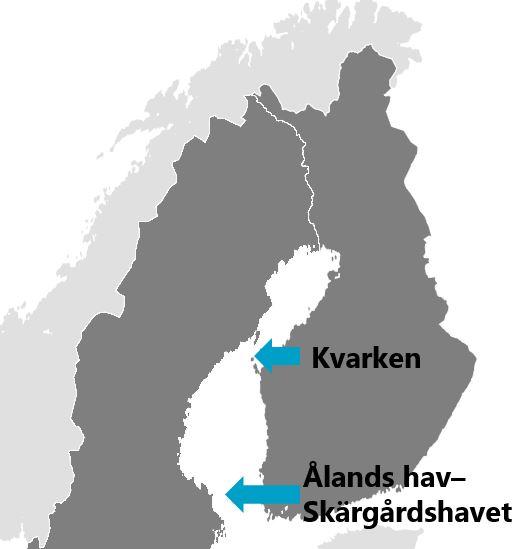 Mottagarlinjerna som går tvärs över Bottenhavet finns i Kvarken och i området Ålands hav–Skärgårdshavet