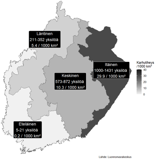 Syksyllä 2025 karhukanta oli tihein itäisellä kannanhoitoalueella