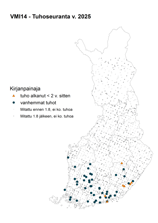 Kirjanpainajien niin sanottu riskiraja 15 000 pyydystettyä kuoriaista ylittyi vasta elokuun puoliväliin mennessä ja ainoastaan neljällä seuranta-alalla.